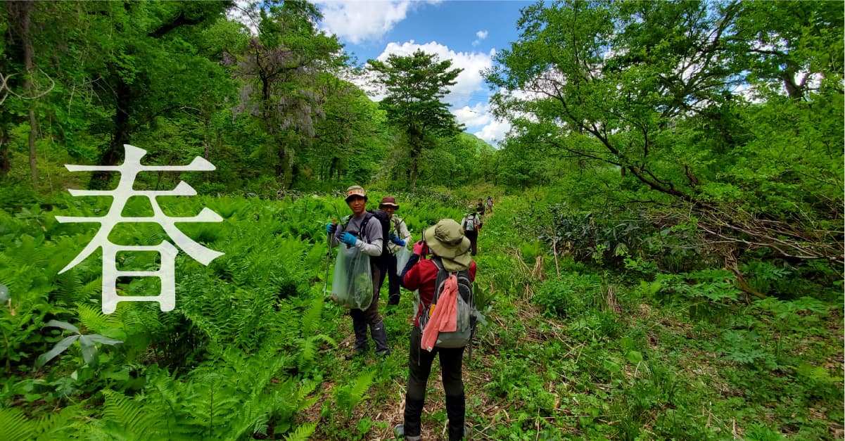 春は山菜取りを行います