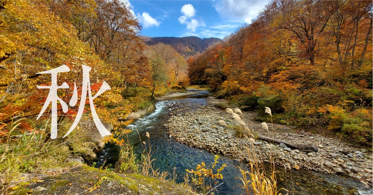 紅葉の中をトレッキング