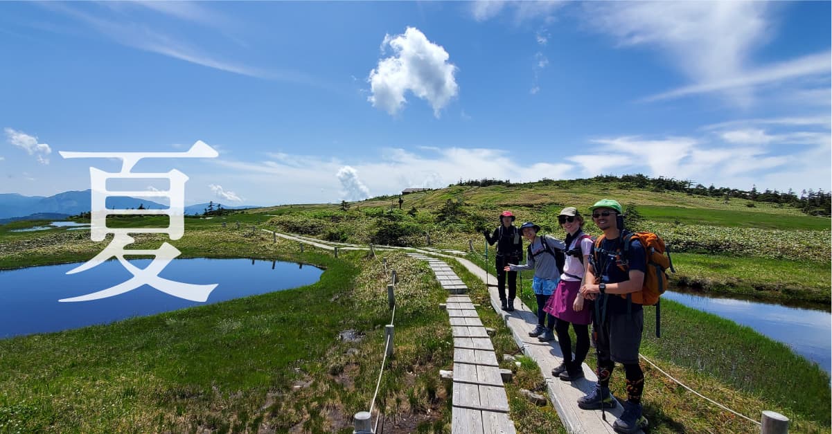 夏の苗場山のトレッキング